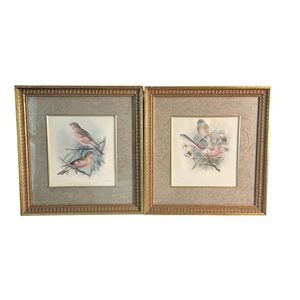 Vintage Mintern Bros Mongolian Desert & Siberian Rose Finch Framed Bird Wall Art